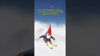 Gnomes are real