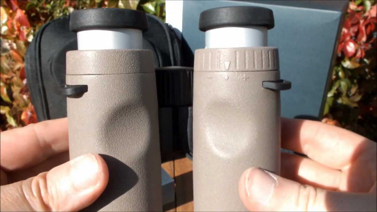 swarovski cl companion binoculars