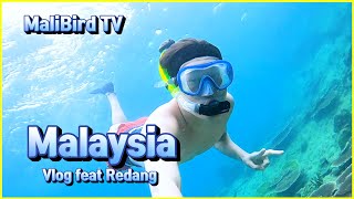 My Gopro Story at Redang island / 외노자의 소확행 Vlog / Redang is Gooddddddddddddddddd.