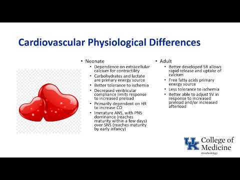 Anesthesia Pediatric Physiology Keyword Review - (Dr. Green)