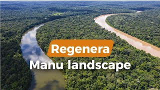 Meet Manu landscape