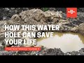 Dig, Wait, Drink: The Infamous Coyote Well: How to get water in a survival Situation