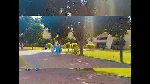 UOG Departments | Missing uog?😇 | #Uog #Uogdepartments #knowledgedenbysp