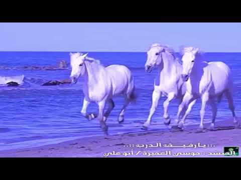 أنشودة يـا رفـيــــق الـدرب المنشد موسى العميرة أبو علي