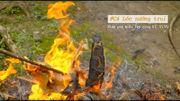 Cá Lóc nướng trui- Một món ăn mang đậm ký ức Miền Tây || Vĩ ViVu