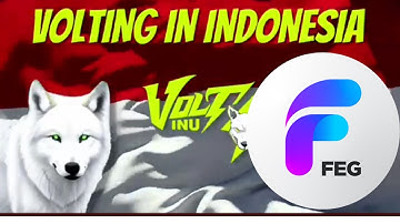 Volt inu | Feg Token Migration | Huge update