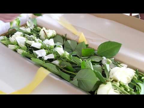 Video: Kvety, Ktoré Sú Zasiate Priamo Na Záhon
