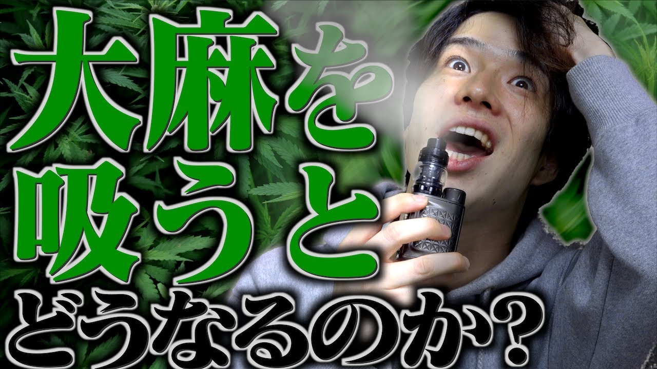 大学生が 大麻を吸うとどうなるのか？【流行中】