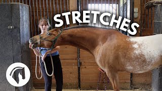 HORSE STRETCHES THAT RELIEVE TENSION