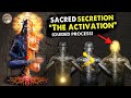 Sacred secretion activation  activate the seed guided meditation  pineal gland  kundalini