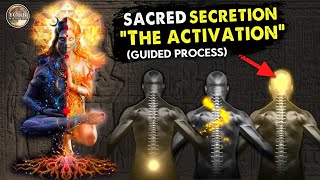 Sacred Secretion Activation - “Activate the Seed” Guided Meditation | Pineal Gland | Kundalini by Your Youniverse 46,250 views 5 months ago 30 minutes