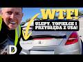 OGLĘDZINY + CENY AUT na aukcji w West Palm Beach - ulepy, topielce, skrzywdzona perełka i przybłęda!