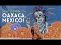 Things to do in Oaxaca Mexico / AMAZING Street Art Tour by Bike!