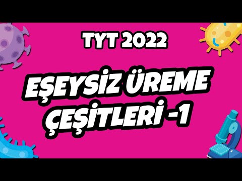 Eşeysiz Üreme ve Çeşitleri -1 | TYT Biyoloji 2022 #hedefekoş