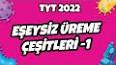 Biyoloji - Üreme ve  Çeşitleri Nedir? Nelerdir ? Ders Notu ve Konu Anlatımı ile ilgili video