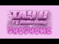 Tay B SheSheMe Feat Skilla Baby Official Lyric Video