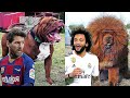 Famous Footballers And Their Dogs That They Love As Their Sons