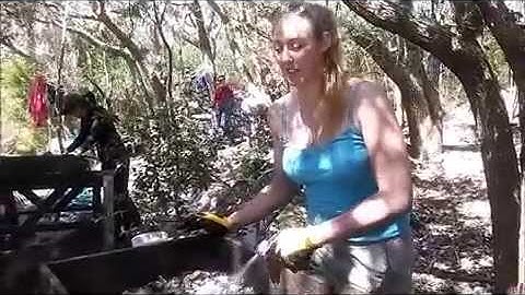 Dig Hatteras: wet sieving finds