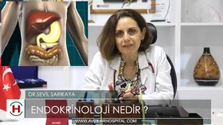 Endokrinoloji Nedir ? Uzm Dr Sevil Sarikaya