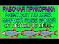 Не бываю без рыбы с такой прикормкой которая  работает по всей мирной рыбе на реке зимой