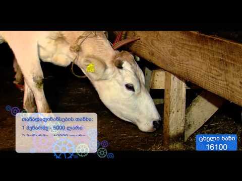 მიკრო და მცირე მეწარმეობის ხელშეწყობა რეგიონებში - დაფინანსებული ბენეფიციარები