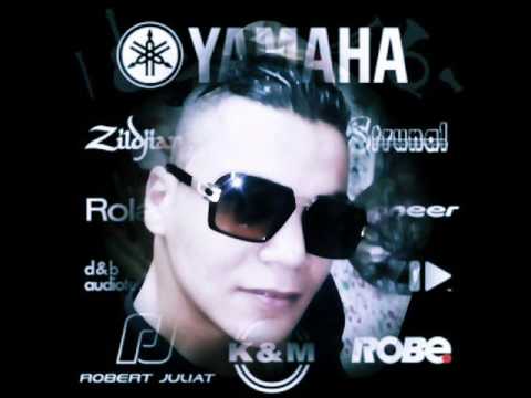 Cheb Walid Sollitaire By DJ Ilyes 2017 3a9liat 3alam dar