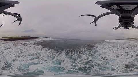 Insta360 ONE X on Mavic Pro