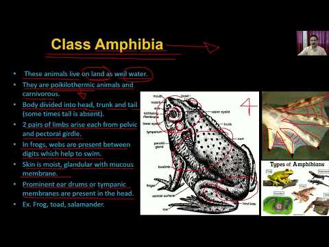 Bio class 11 unit 02   chapter 05  Animal Kingdom  Lecture -5/5