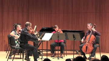 Ironwood: Brahms op. 34, Piano Quintet in F minor---1st mvt.