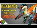 VELOCIRAPTOR | EVERYTHING You've Ever Wanted To Know | Pt 1