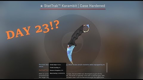 opening a case everyday until I get a knife (Day 23)