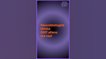 Neurobiologist thinks DMT aliens are real