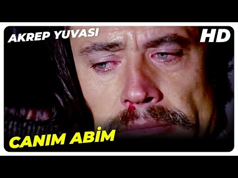 Akrep Yuvası - Kemal, Yıllar Sonra Abisini Buldu! | Cüneyt Arkın Banu Alkan Eski Türk Filmi