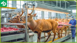 🦌 Modern Food Processing Machines Handle 1.4M Deer This Way