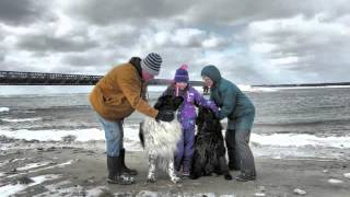 Miniatura de vídeo de "Cold Canadian Waters By Roy Payne"