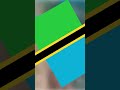 Tanzania Flag