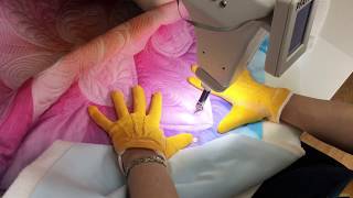 Free Motion Quilting Dream Big Panel