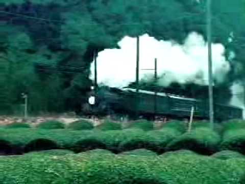 【廣告王】飲冰室茶集第十三話迎接篇