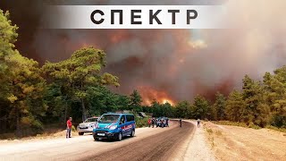 Из-за лесных пожаров в Турции туристов выселяют из отелей