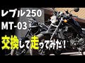 【MT-03】後輩くんのバイクと交換してみた結果…【レブル250】