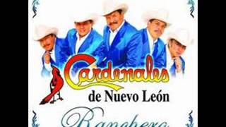 Video thumbnail of "Pa Que Son Pasiones Los Cardenales De Nuevo Leon   nortenas"