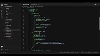 Angular Interview Preparation | Angular Project File Info