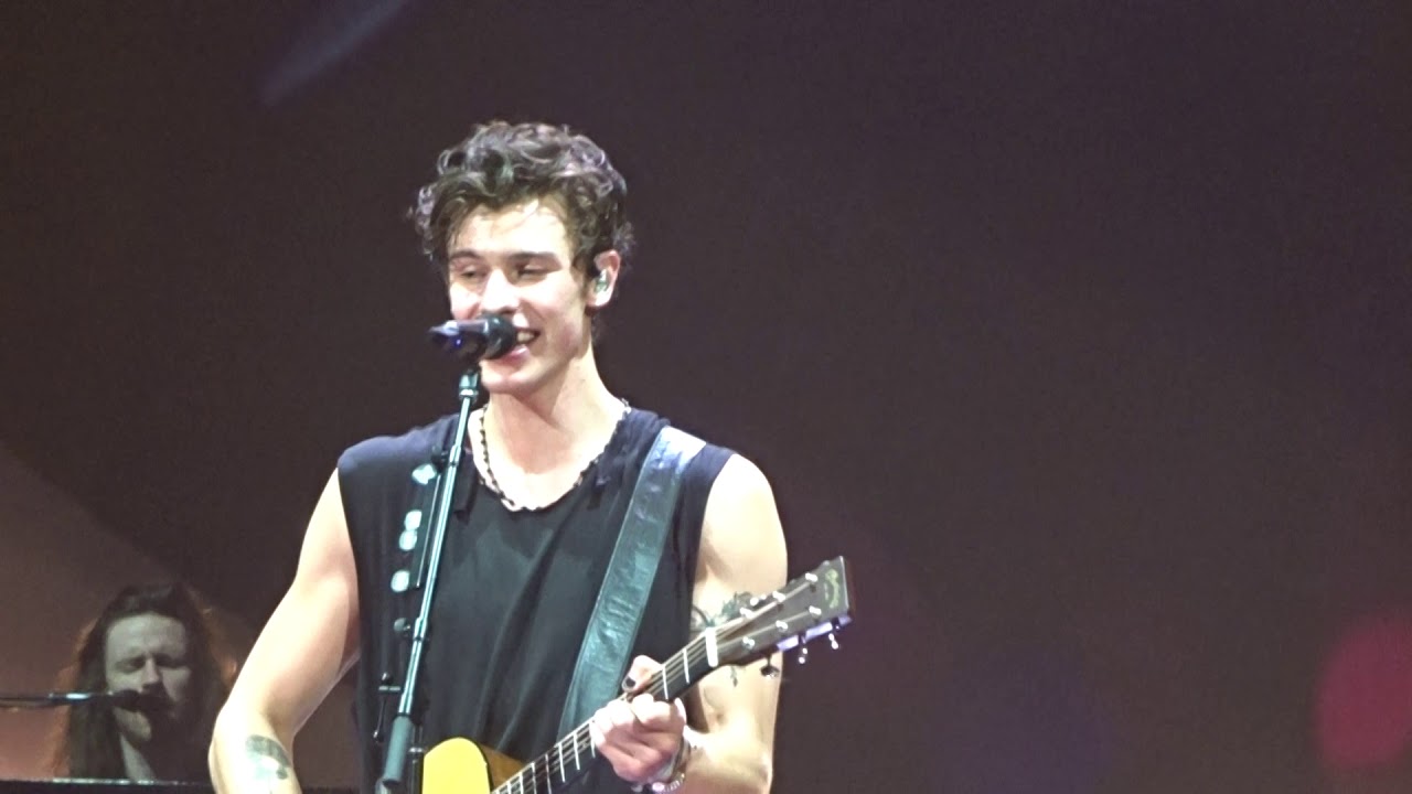 Shawn Mendes Fallin' All In You Sydney 02/11/019 YouTube