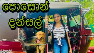 පොසොන් දන්සල් අමතක කලේ නෑ|Kotikawatta to Pannala road |Poson Dansal |Buddhist festival@WolfyVlogs