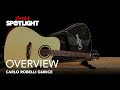 The Greatest Beginner Acoustic Guitar Package | G600CE from Carlo Robelli