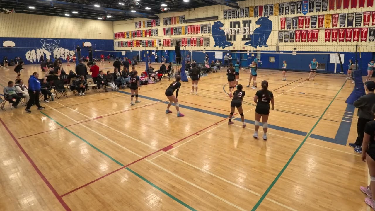 HUMMINBIRDS HEAT VS STORM HURRICANES   SET 2 OF 2