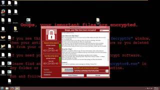 Wanacry Ransomware Full Demonstration-Digihacking