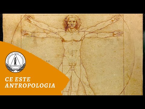 Video: Ce Este Antropogeneza
