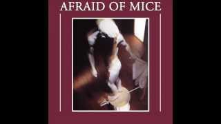 Vignette de la vidéo "Afraid of Mice - The Important Man (Afraid of Mice, 1981)"