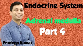 Endocrine System class 10|adrenal medullafeedback mechanismproperties of hormone  part 4